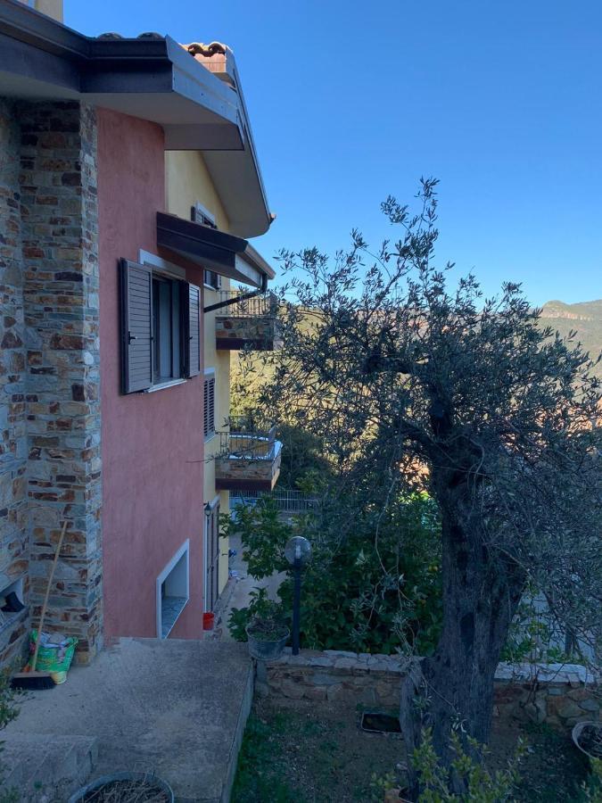 Il Vecchio Ulivo Sa Tanca Bed & Breakfast Ussassai Bagian luar foto