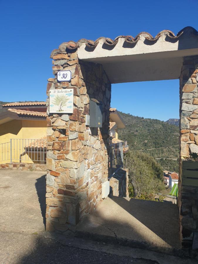 Il Vecchio Ulivo Sa Tanca Bed & Breakfast Ussassai Bagian luar foto