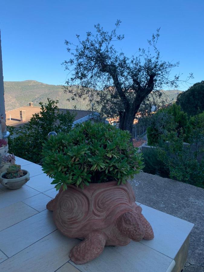 Il Vecchio Ulivo Sa Tanca Bed & Breakfast Ussassai Bagian luar foto